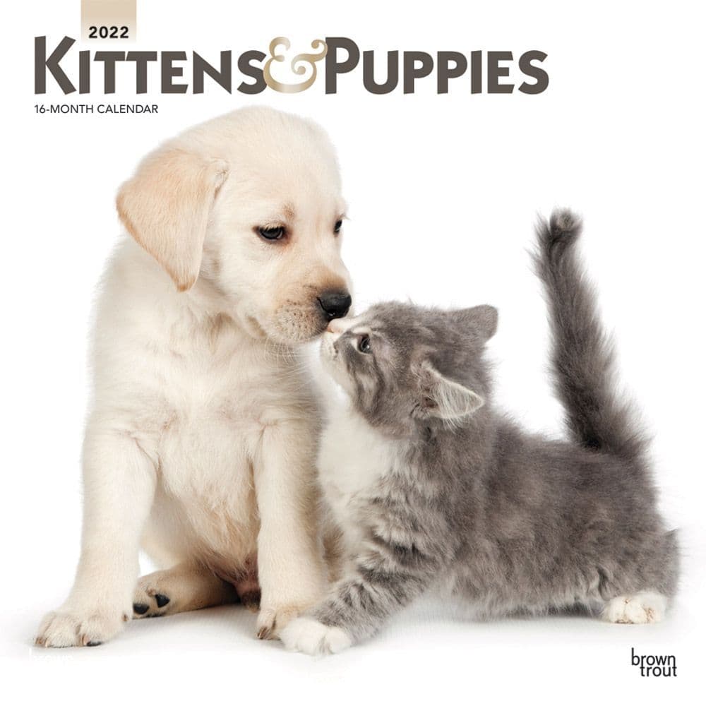 Kittens & Puppies 2022 Wall Calendar