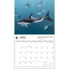 image dolphins-wwf-2024-wall-calendar-alt2