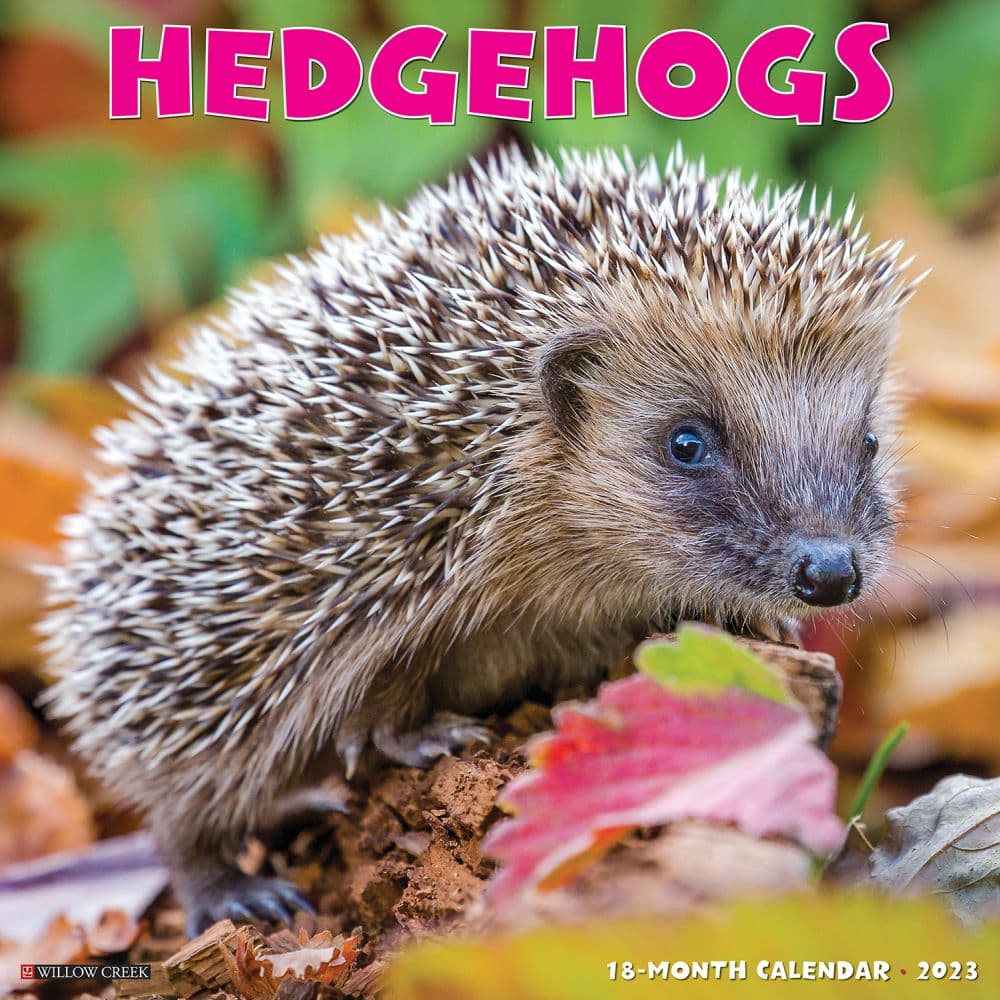 Willow Creek Press Hedgehogs 2023 Wall Calendar