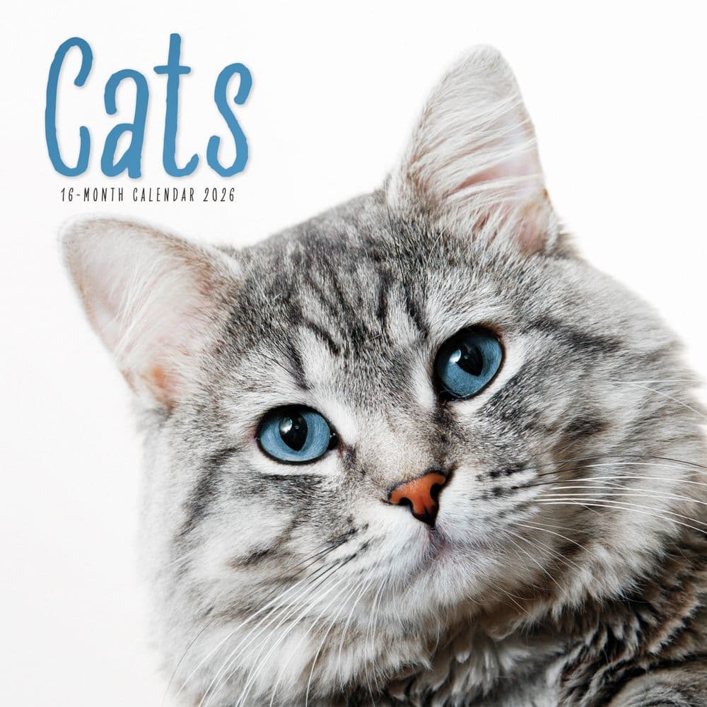 Cats 2026 Wall Calendar  Main Image