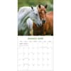 image Horses Photo 2026 Wall Calendar_ALT3