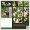 image Sloths 2025 Wall Calendar First Alternate Image