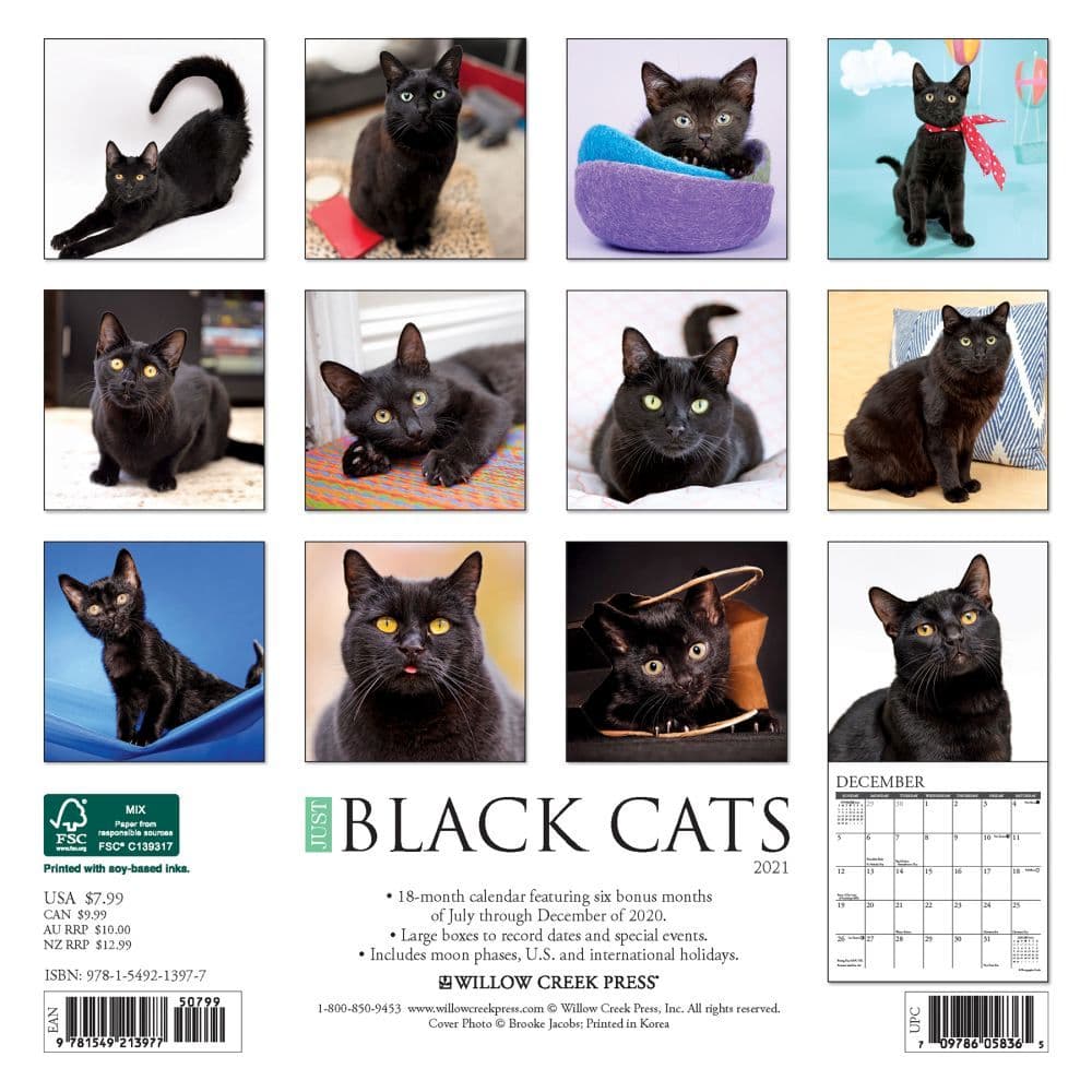Black Cats Mini Wall Calendar