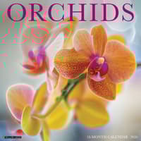 image Orchids 2026 Wall Calendar