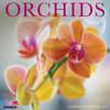 image Orchids 2026 Wall Calendar