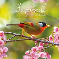 image Songbirds 2027 Wall Calendar Main Product Image