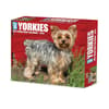 image Just Yorkies 2025 Desk Calendar Main Product Image