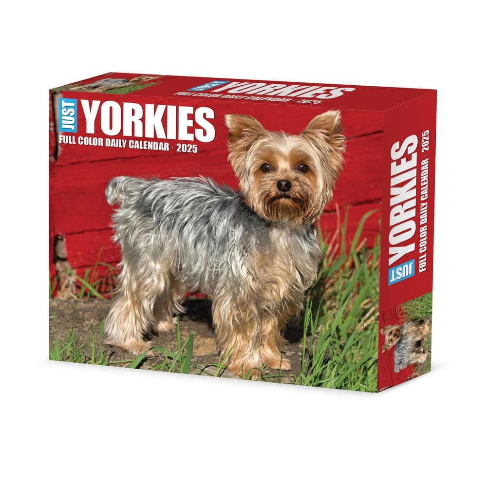 Just Yorkies 2025 Desk Calendar Main Product Image