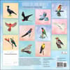 image Birds of the World 2024 Wall Calendar First Alternate Image width=&quot;1000&quot; height=&quot;1000&quot;