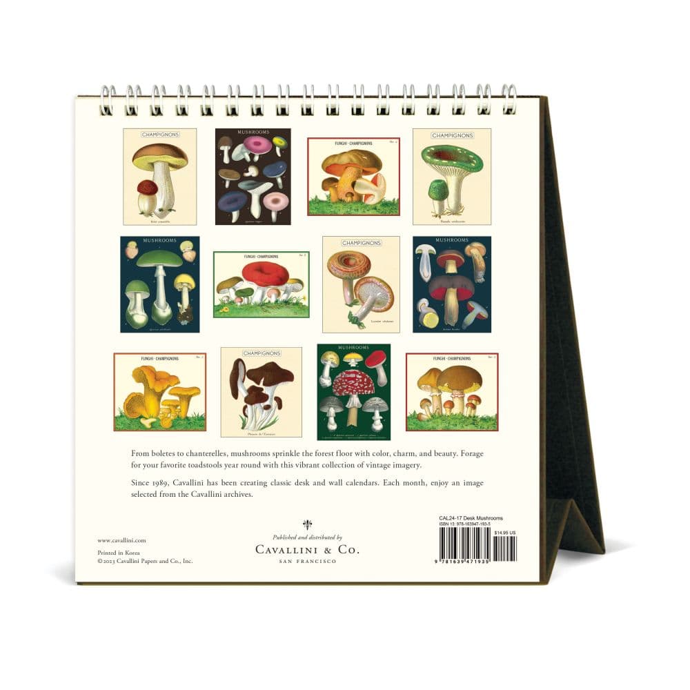 Mushrooms 2024 Easel Desk Calendar