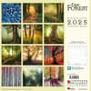 image Deep Forest 2025 Wall Calendar First Alternate Image width=&quot;1000&quot; height=&quot;1000&quot;