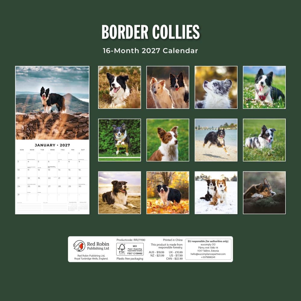 Border Collies 2027 Wall Calendar First Alternate Image
