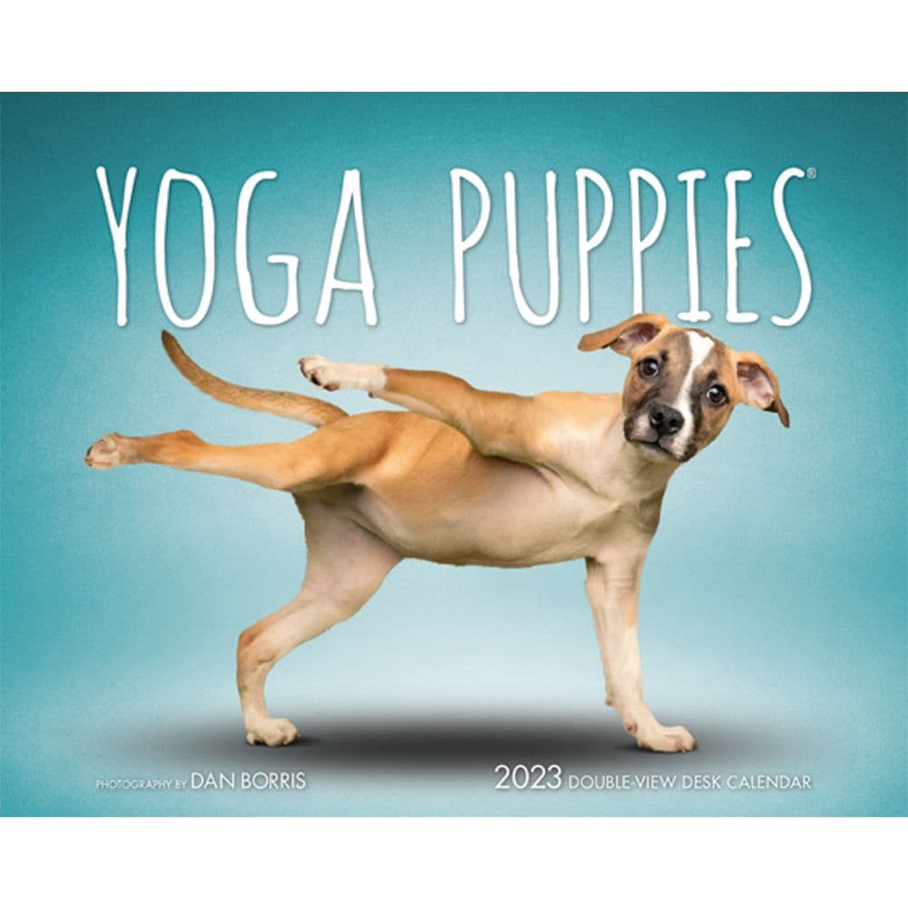 BrownTrout Yoga Puppies 2023 Easel Desk Calendar