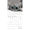 image Classic Cats 2024 Mini Wall Calendar Second Alternate Image width=&quot;1000&quot; height=&quot;1000&quot;