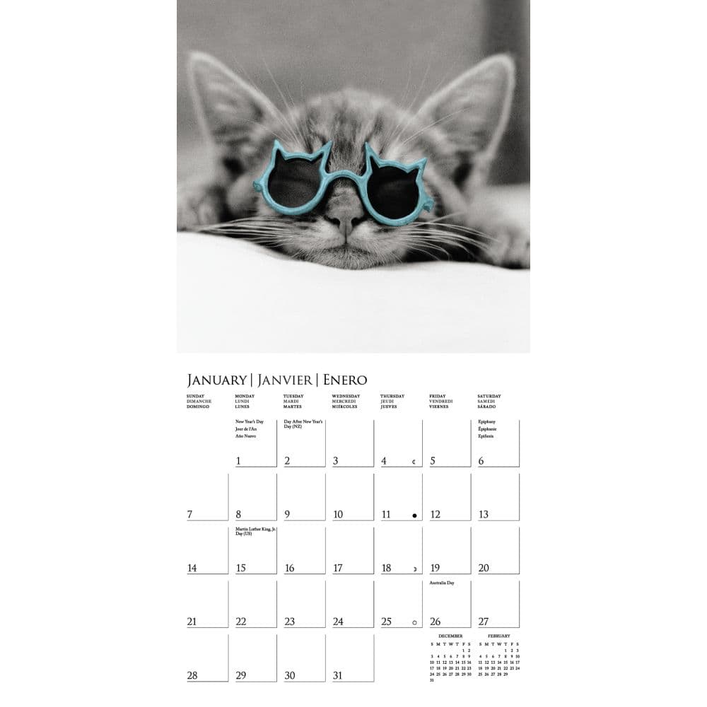 Classic Cats 2024 Mini Wall Calendar Second Alternate Image width=&quot;1000&quot; height=&quot;1000&quot;
