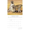 image Monkey Business 2025 Wall Calendar Third Alternate Image width=&quot;1000&quot; height=&quot;1000&quot;