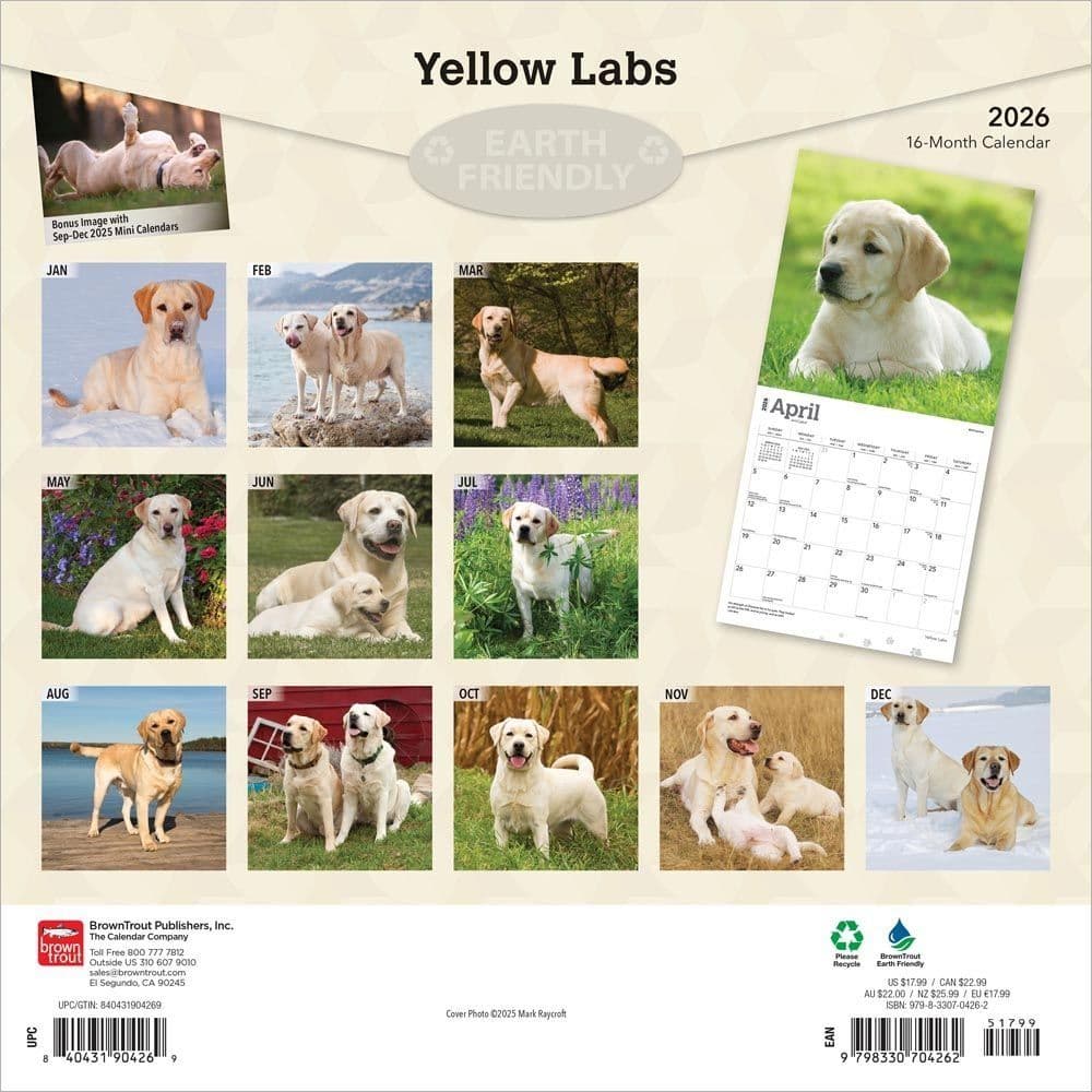 Yellow Lab Retriever 2026 Wall Calendar First Alternate Image