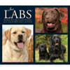 image Just Labs 2025 Desk Calendar  Main Image