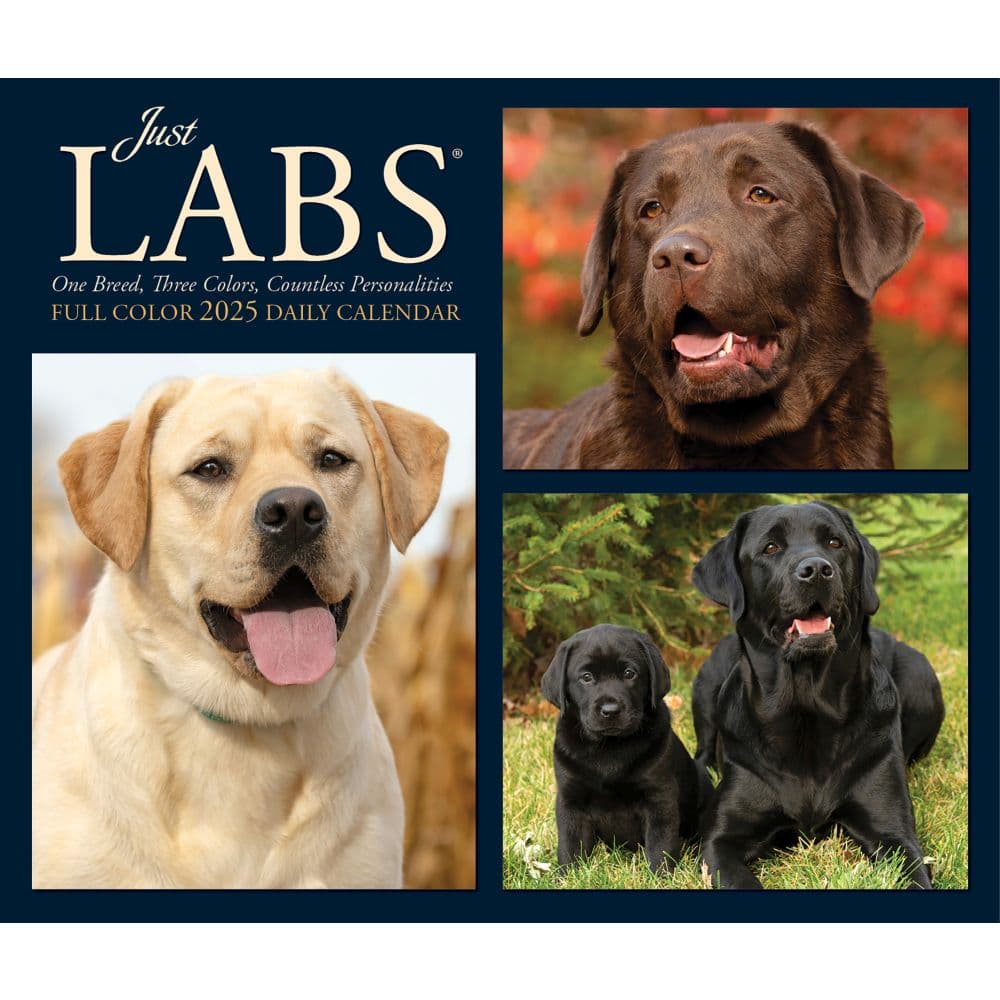 Just Labs 2025 Desk Calendar  Main Image