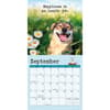 image Dog is Good Fur Wisdom 2025 Mini Wall Calendar