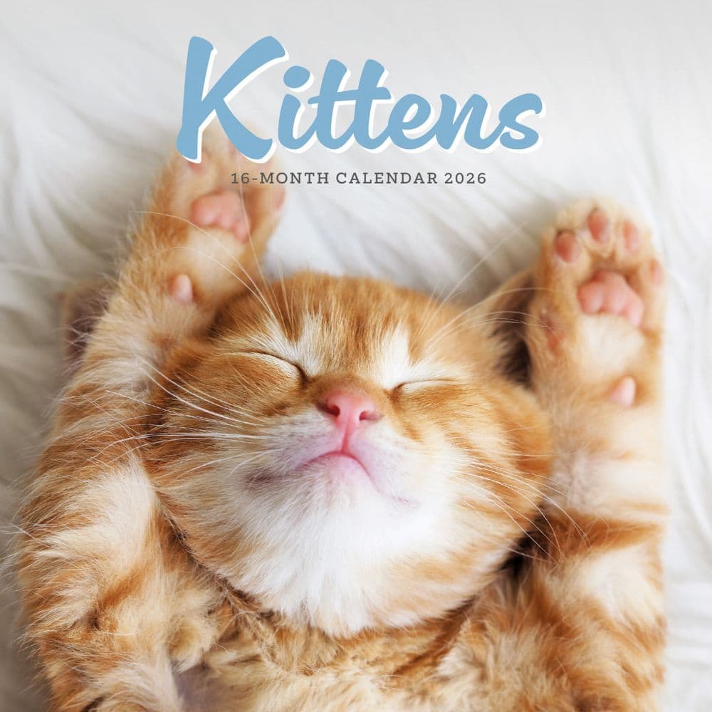 Kittens 2026 Mini Wall Calendar Main Image