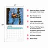 image Ducks 2025 Wall Calendar Fourth Alternate Image width="1000" height="1000"