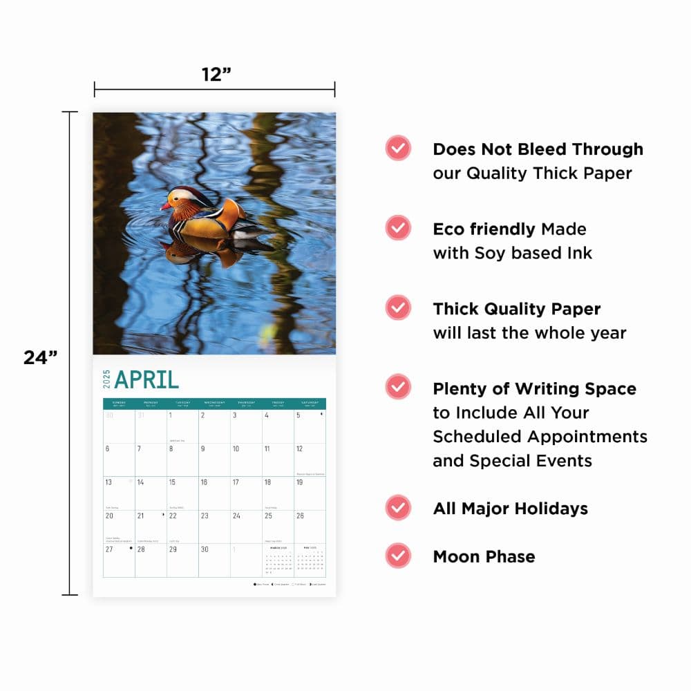 Ducks 2025 Wall Calendar Fourth Alternate Image width="1000" height="1000"