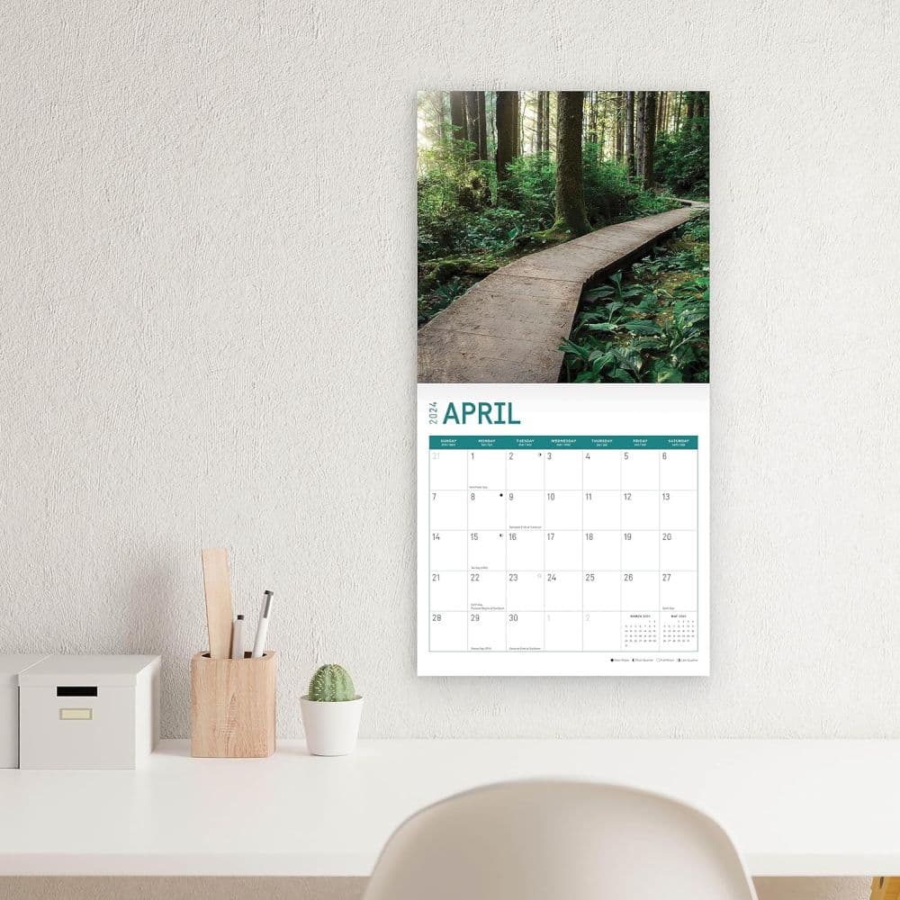 Redwood Forest 2024 Wall Calendar Sixth Alternate Image width=&quot;1000&quot; height=&quot;1000&quot;