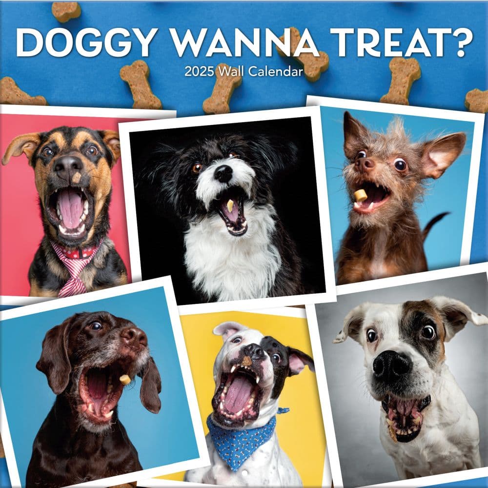 Doggy Want A Treat 2025 Wall Calendar