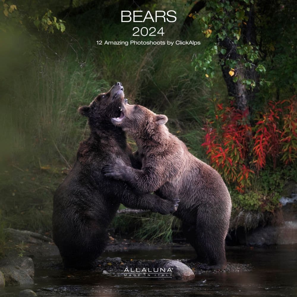 Bears 2024 Wall Calendar