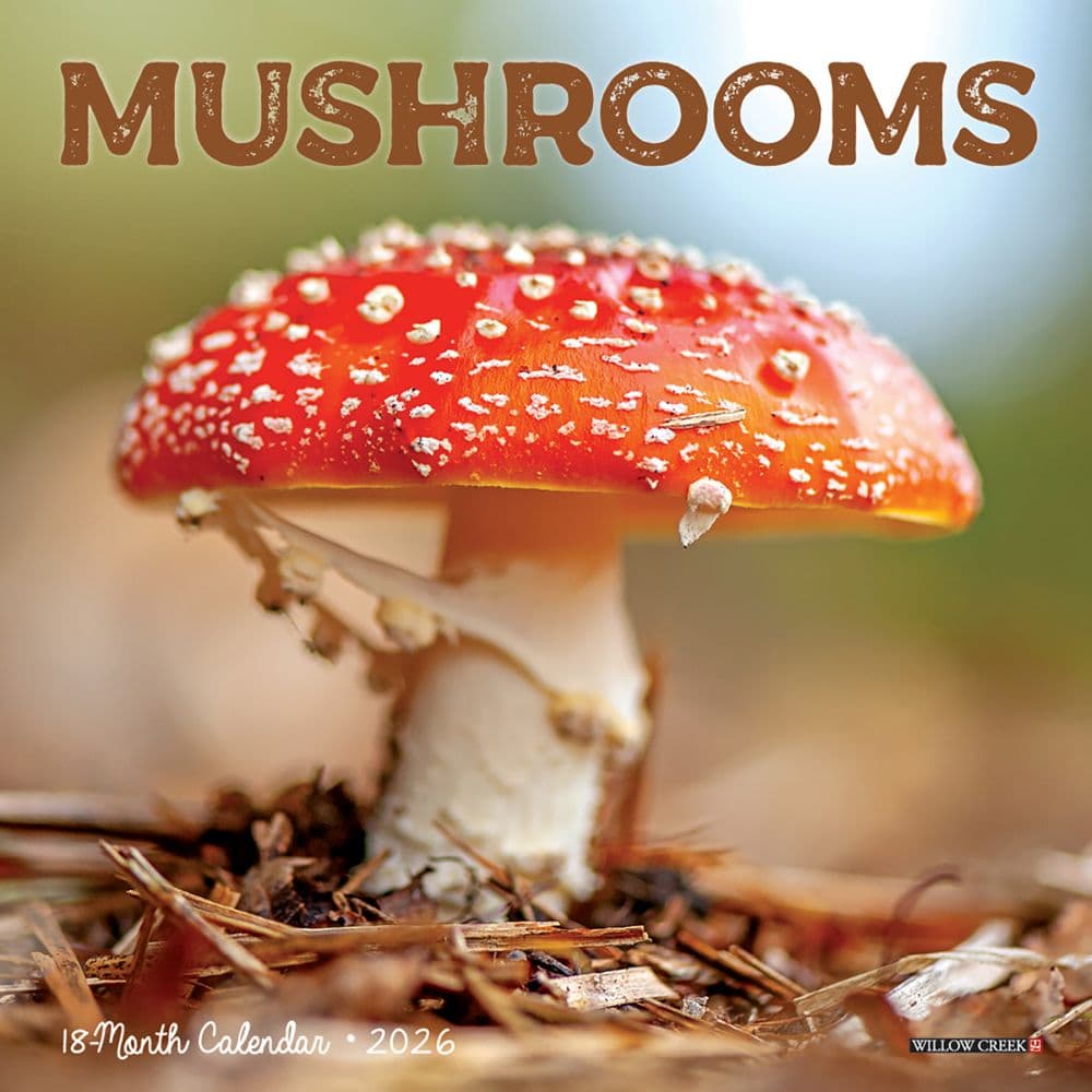 Mushrooms 2026 Mini Wall Calendar Main Image