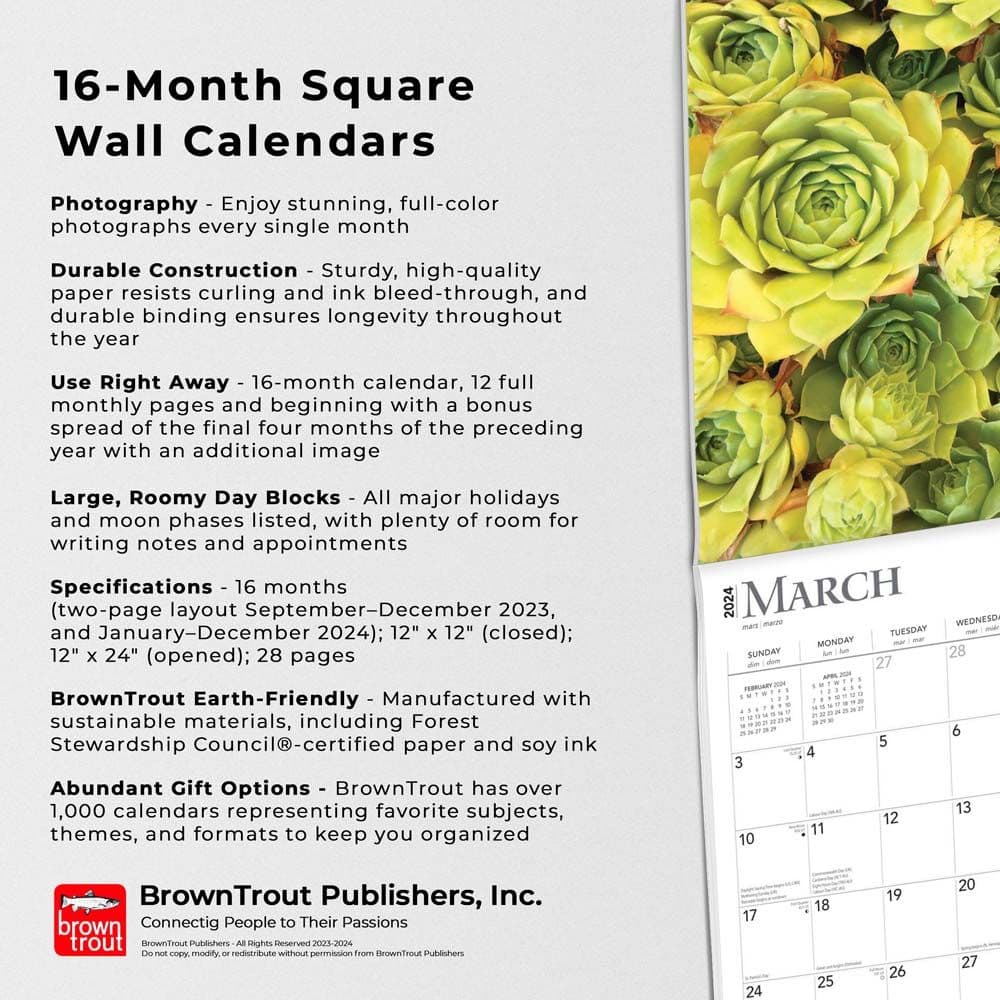 Succulents 2024 Wall Calendar Fourth Alternate Image width=&quot;1000&quot; height=&quot;1000&quot;