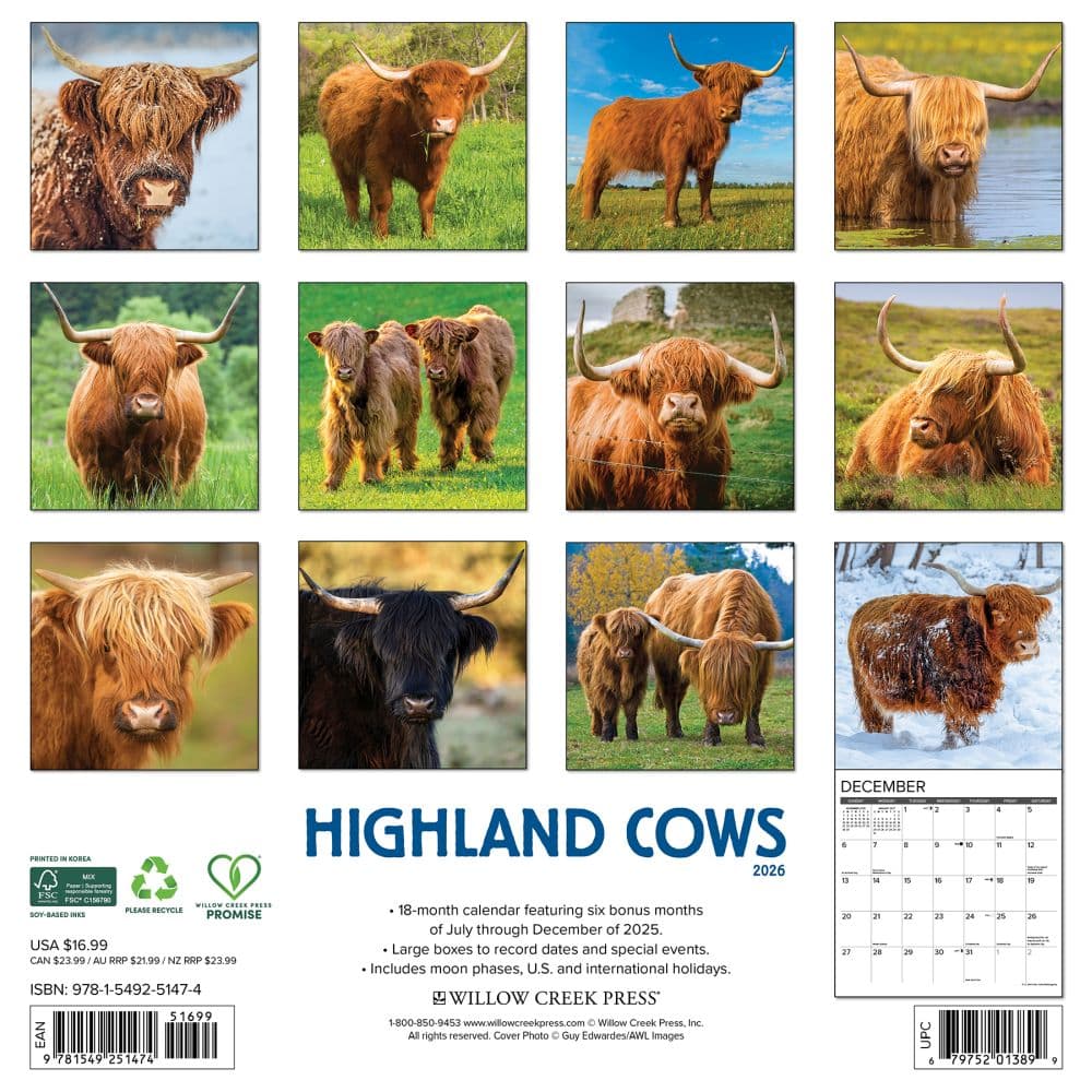 Highland Cows 2026 Wall Calendar First Alternate Image