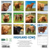 image Highland Cows 2026 Wall Calendar First Alternate Image