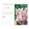 image Kittens 2027 Double View Easel Desk Calendar Third Alternate Image