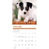 image Puppies 2025 Wall Calendar Fourth Alternate Image width="1000" height="1000"