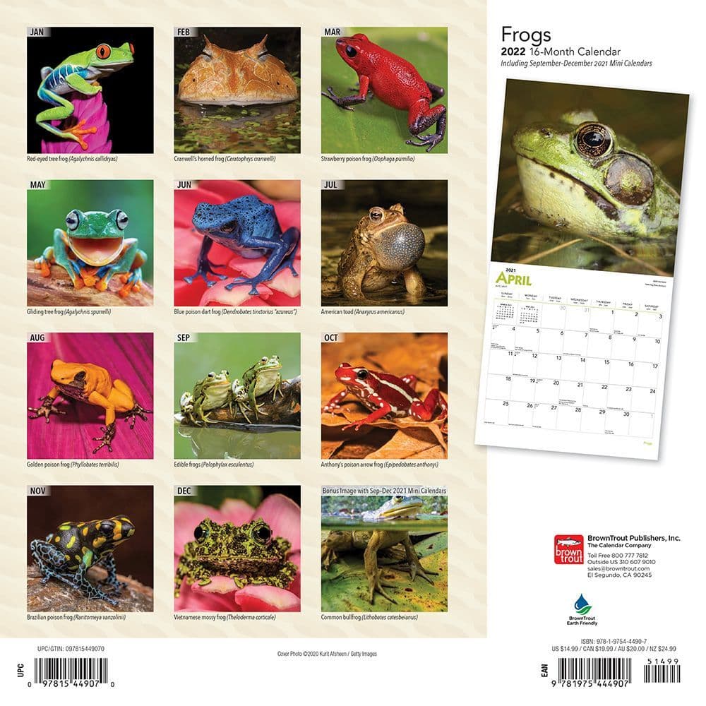 Frogs 2022 Wall Calendar - Calendars.com