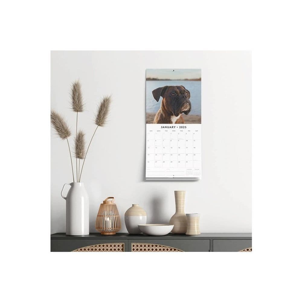 Boxers 2025 Wall Calendar Alt4