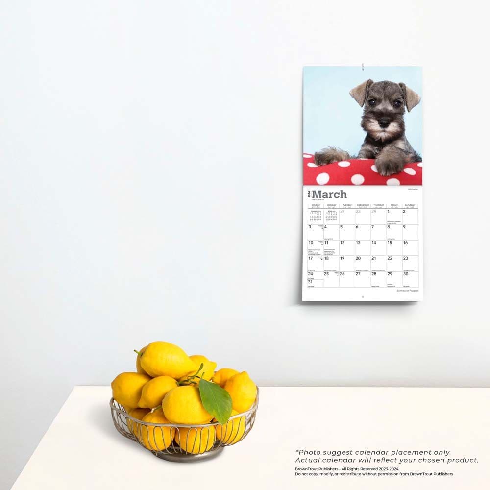 Schnauzer Puppies 2024 Mini Wall Calendar Alternate Image 3