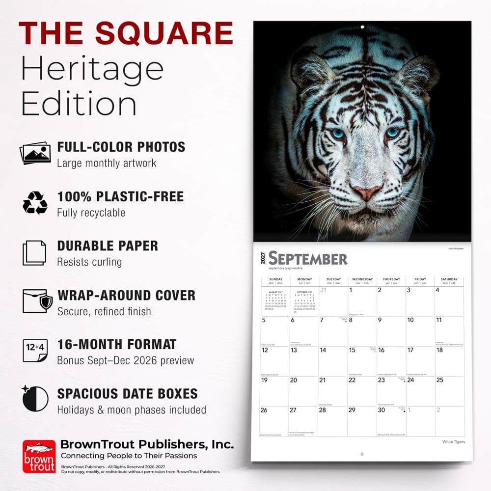 White Tigers 2027 Wall Calendar Fifth Alternate Image