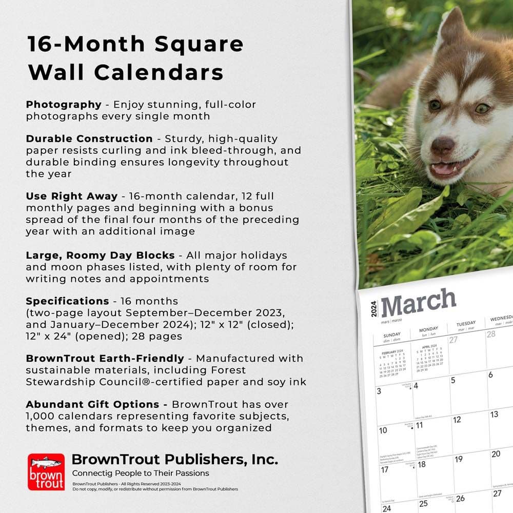 Siberian Husky Puppies 2024 Wall Calendar - Calendars.com