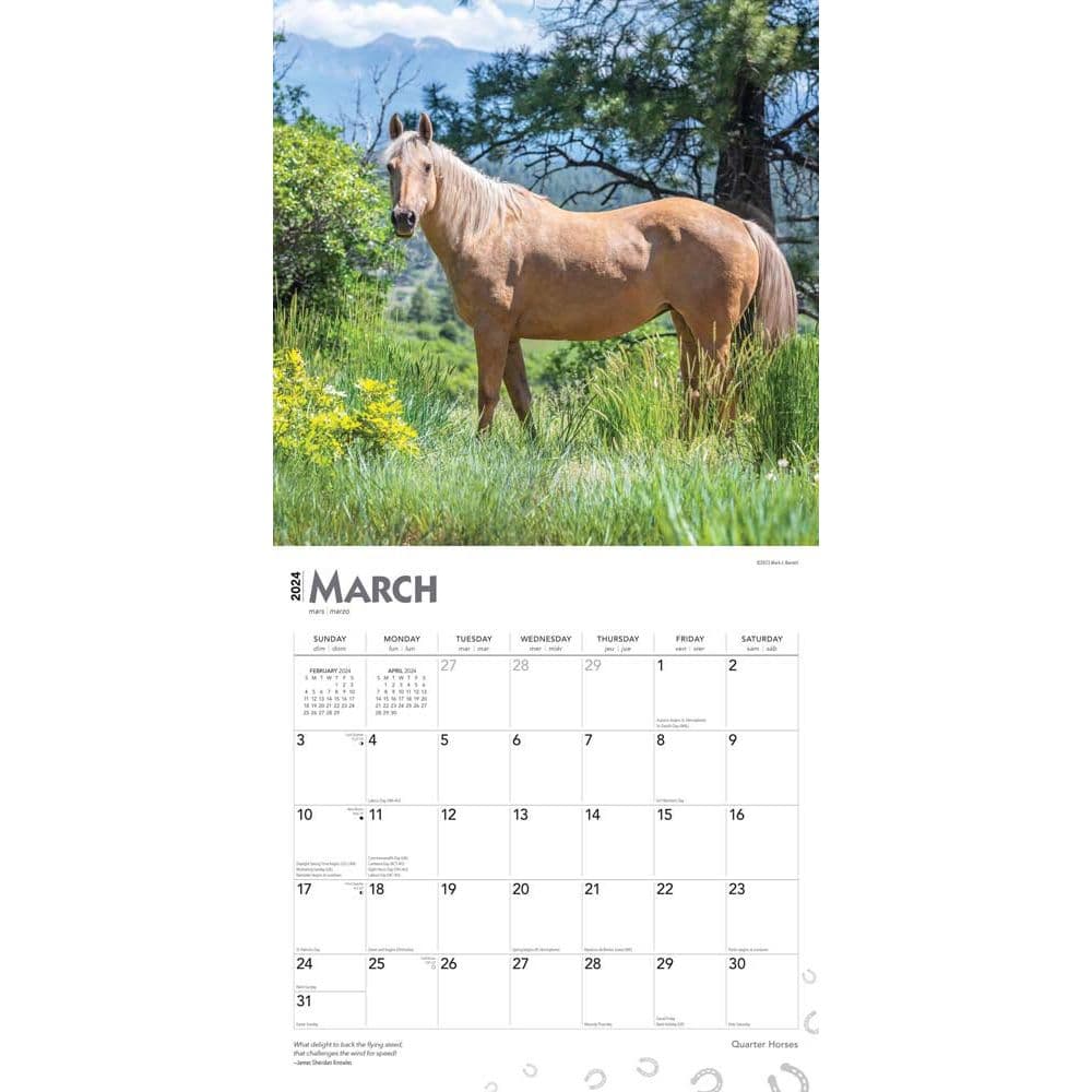 Horses Quarter 2024 Wall Calendar Calendars Com   25906eda 211a 4450 A455 38cc733f2d46