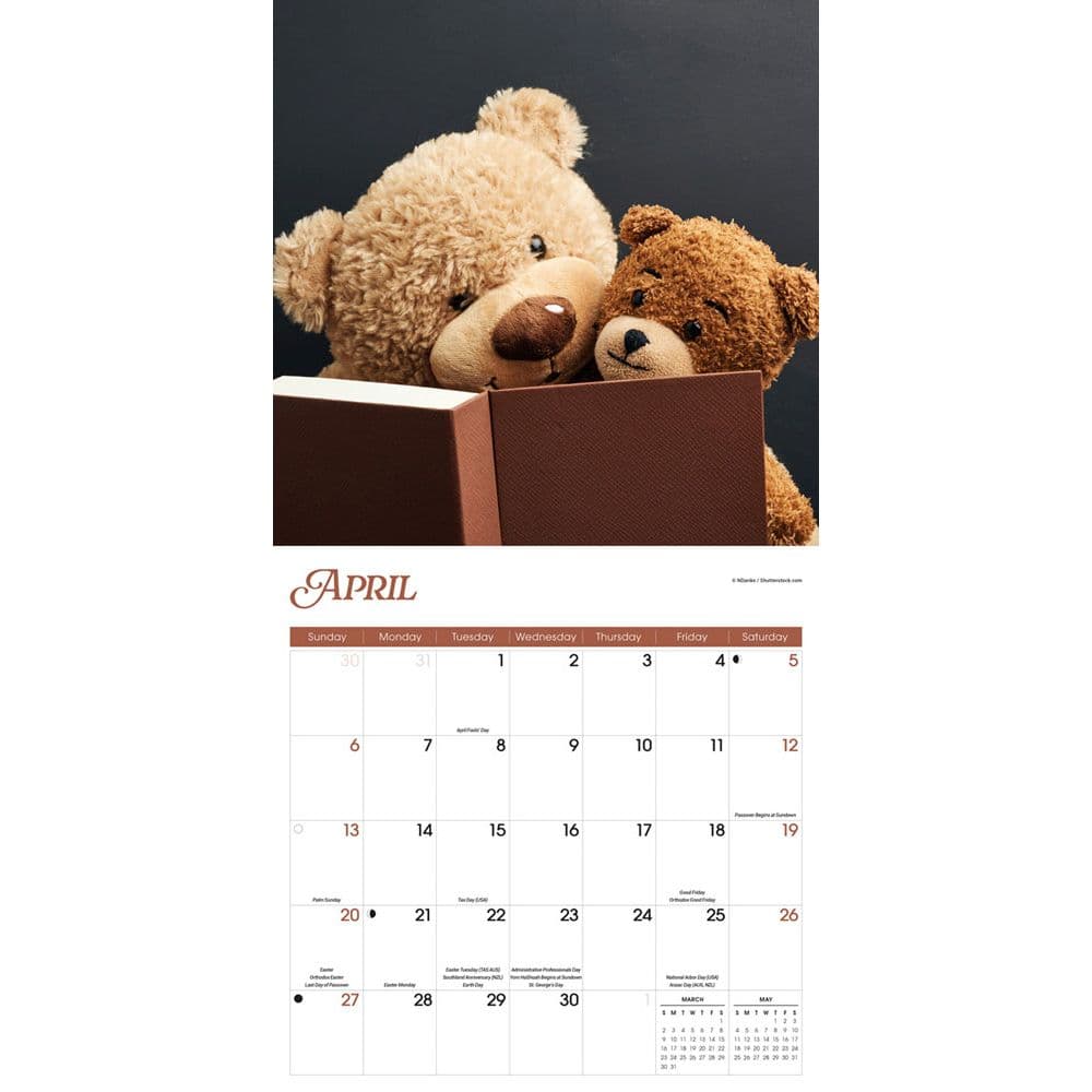 Teddy Bears 2025 Wall Calendar