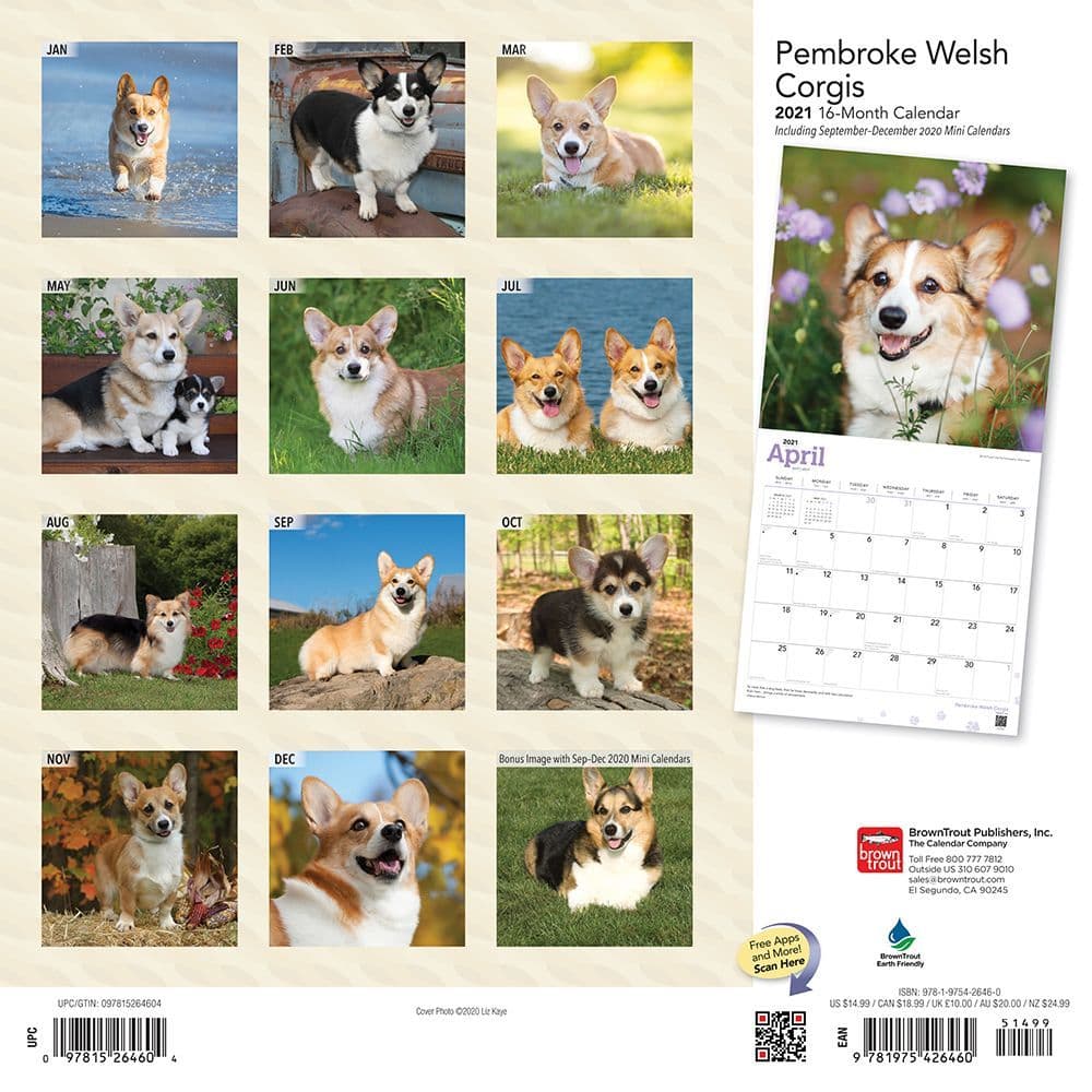 Welsh Pembroke Wall Calendar