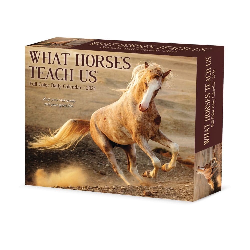 What Horses Teach Us 2024 Desk Calendar Main Image