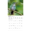 image Hummingbirds Special Value 2026 Mini Wall Calendar Third Alternate Image