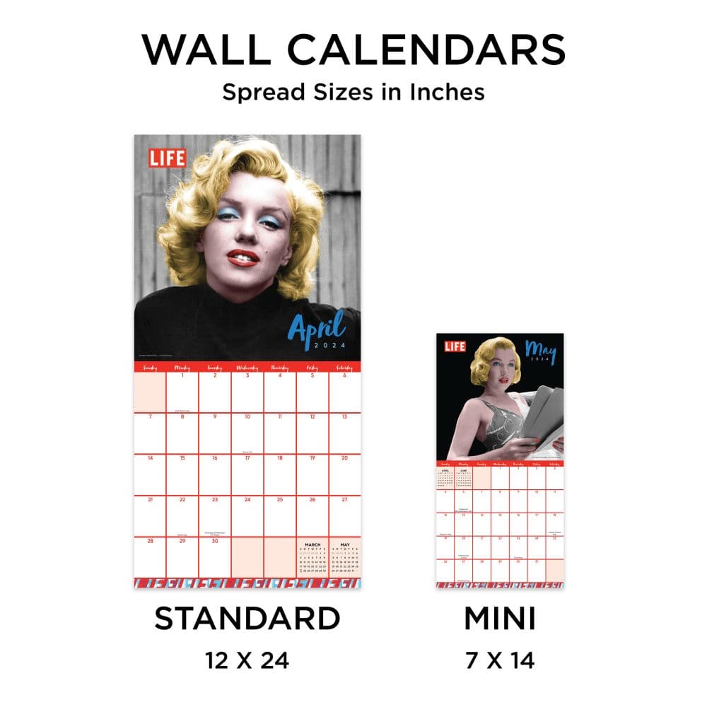 LIFE Marilyn Monroe 2024 Mini Wall Calendar