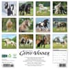 image Gypsy Vanner Horses 2025 Wall Calendar First Alternate Image width=&quot;1000&quot; height=&quot;1000&quot;