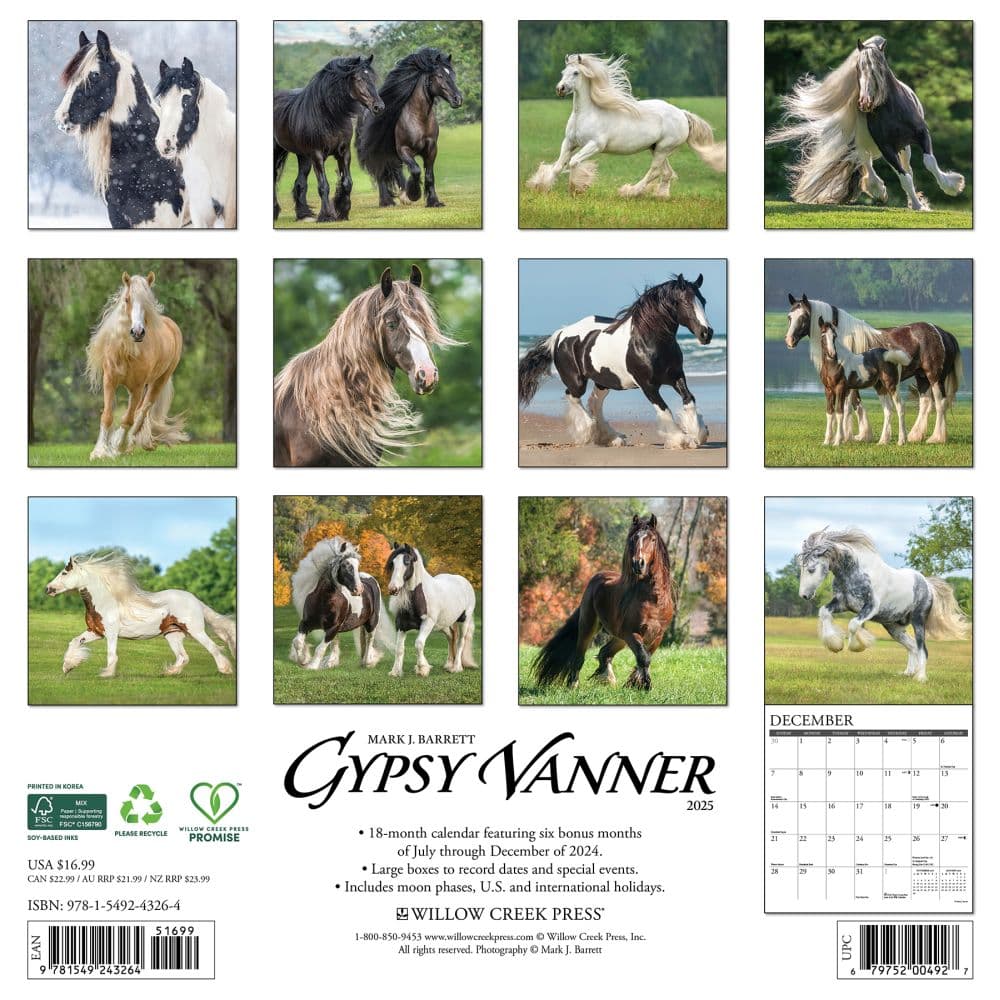 Gypsy Vanner Horses 2025 Wall Calendar First Alternate Image width=&quot;1000&quot; height=&quot;1000&quot;