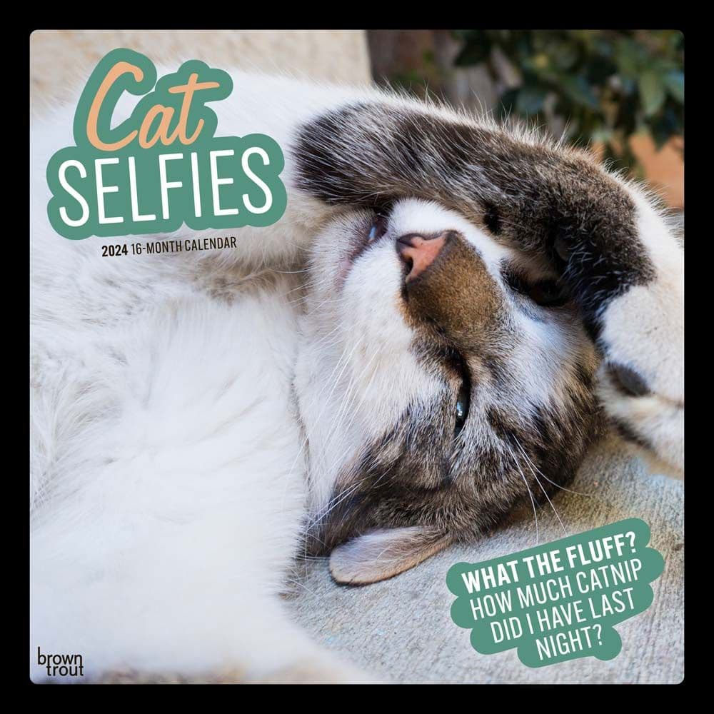 Cat Selfies 2024 Wall Calendar Main Product Image width=&quot;1000&quot; height=&quot;1000&quot;